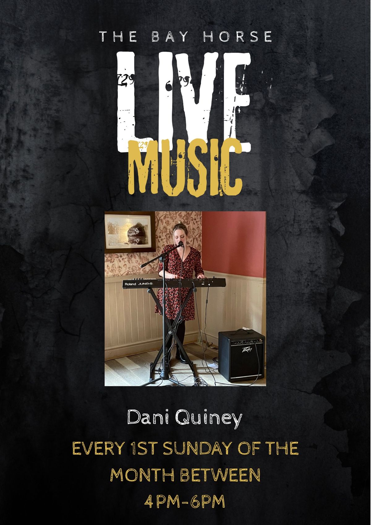 Live Music - Dani Quiney