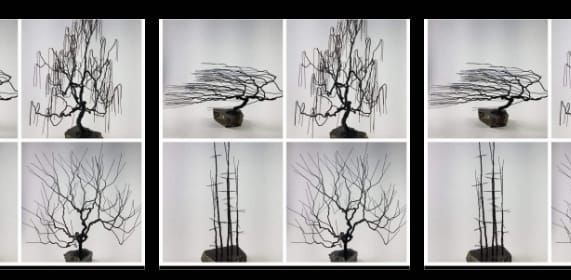 Wire Bonsai Workshop with Mark Golomb 1\/23