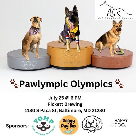 Paw-lympics at Pickett Brewing