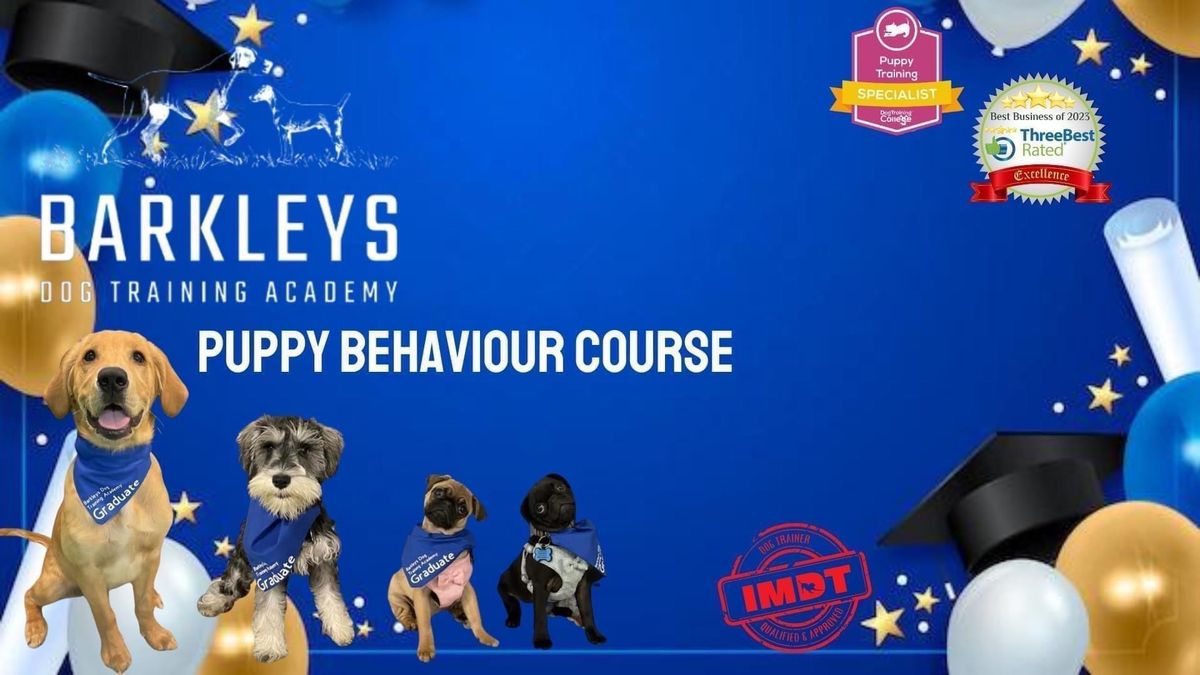 Puppy Behaviour Course 