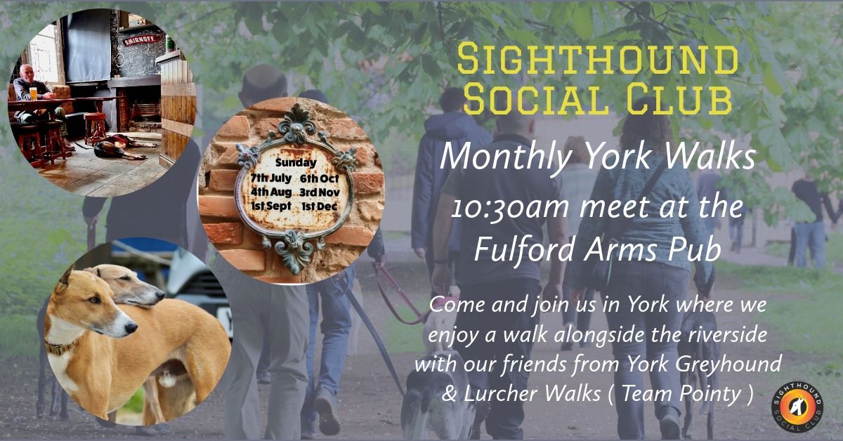 Monthly York Walk - Hosted by our friends at Team Pointy