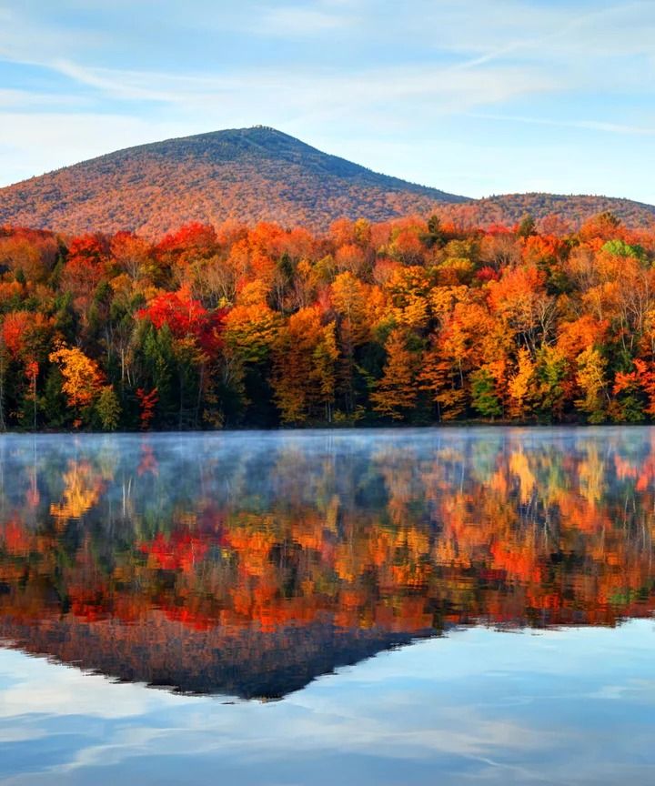 Fall Equinox Harvest Portal! Shamanic Journey Meditation & Reiki Soundbath