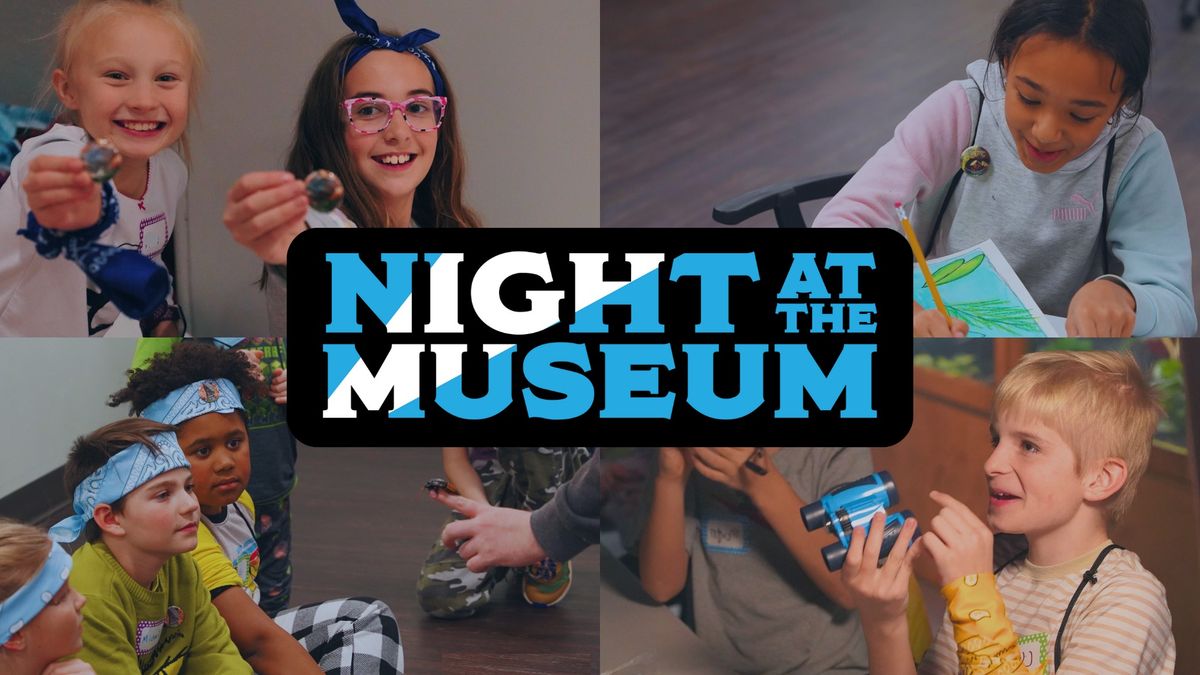 Night at the Museum