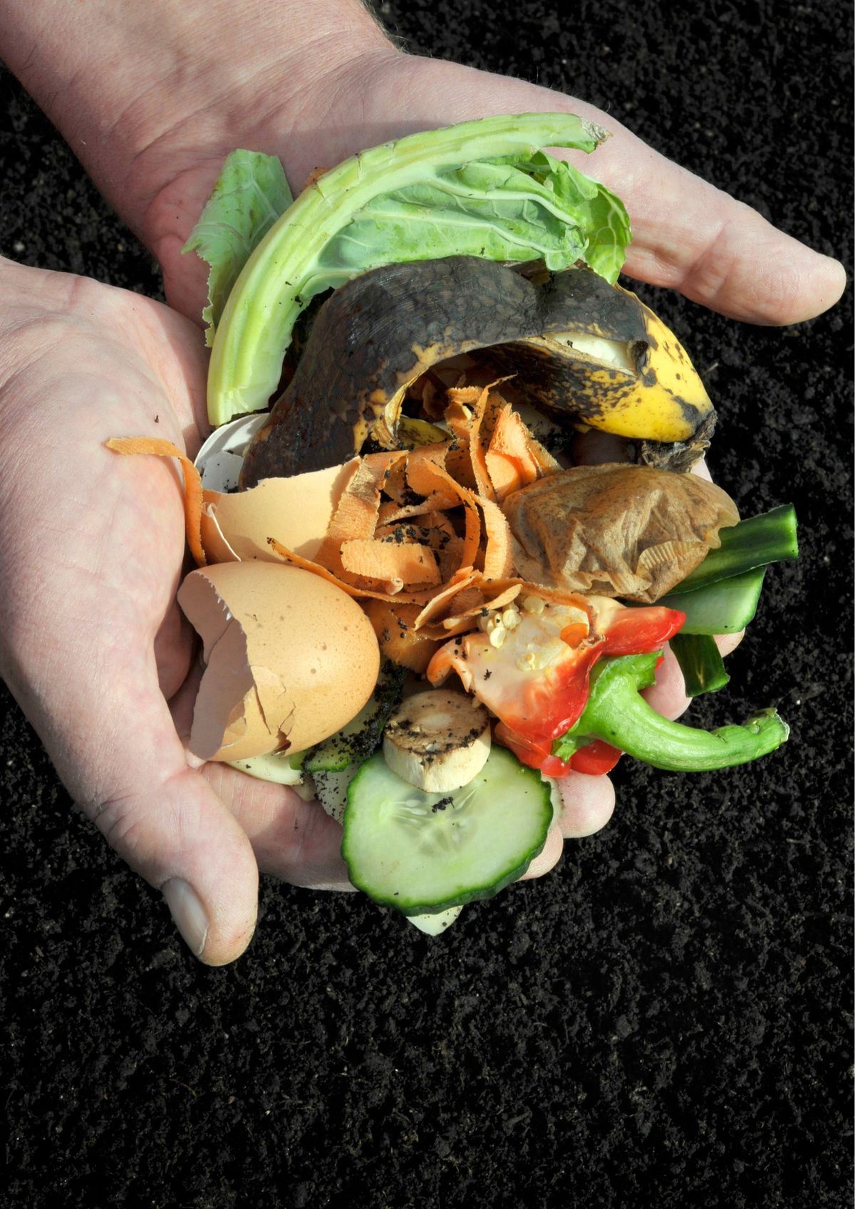 Introduction to Composting - New Lynn Community Centre