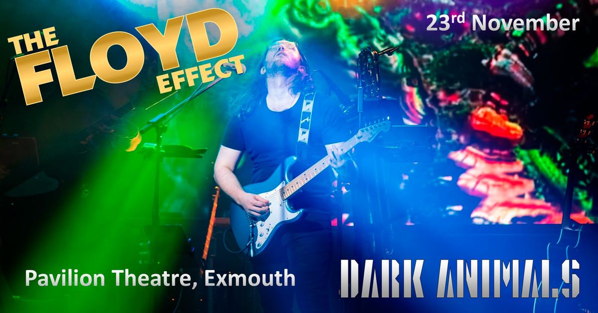 The Floyd Effect - The Pink Floyd Show - at the Pavilion Theatre, Exmouth