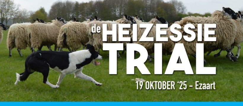 de HEIZESSIE trial