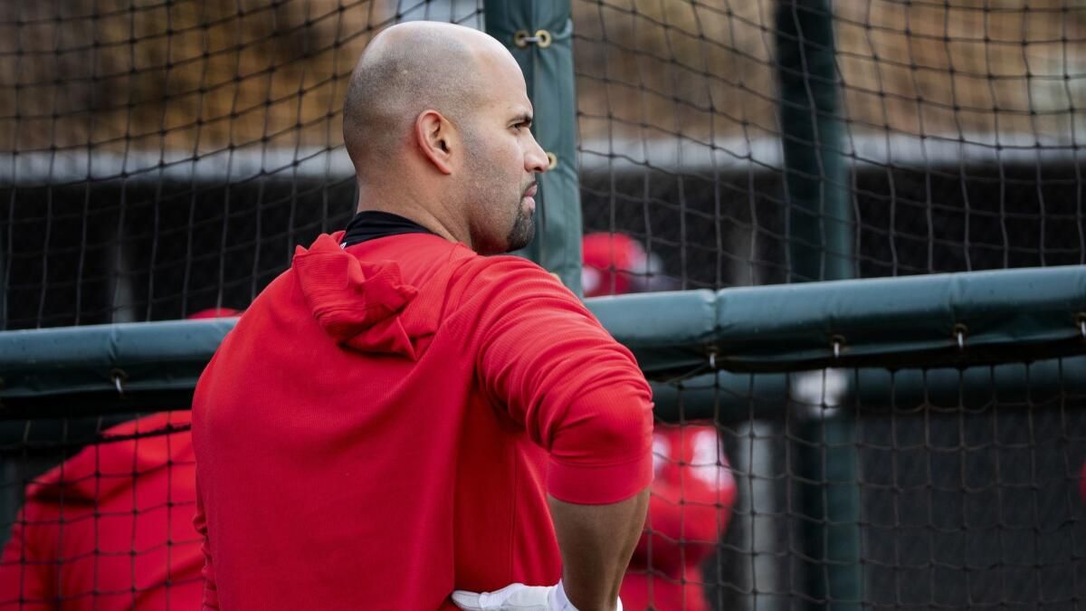 Spring Training: Cincinnati Reds (Split Squad) at Los Angeles Dodgers