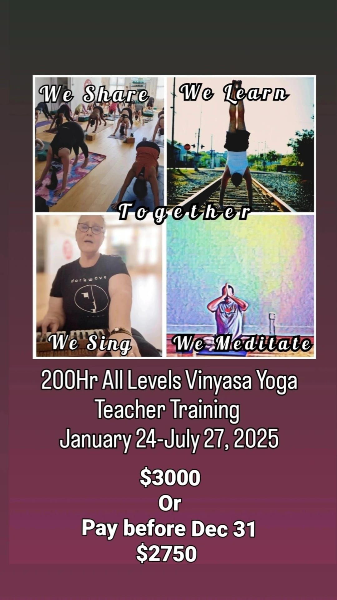 Lucky Cat Yoga's 200hr All Levels Vinyasa Yoga Teacher Training