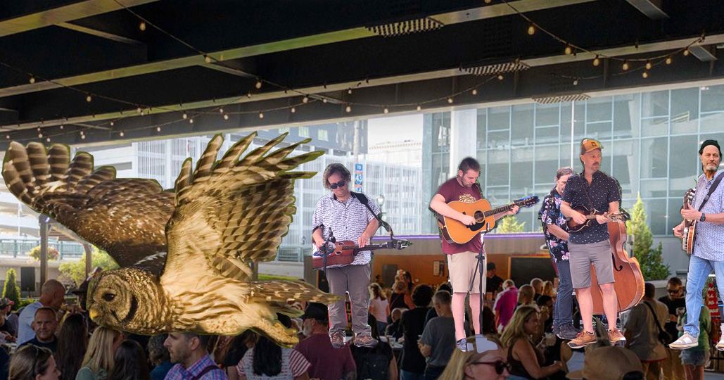 The Barred Owl String Band @ Harvest Fest, Milwaukee Public Market