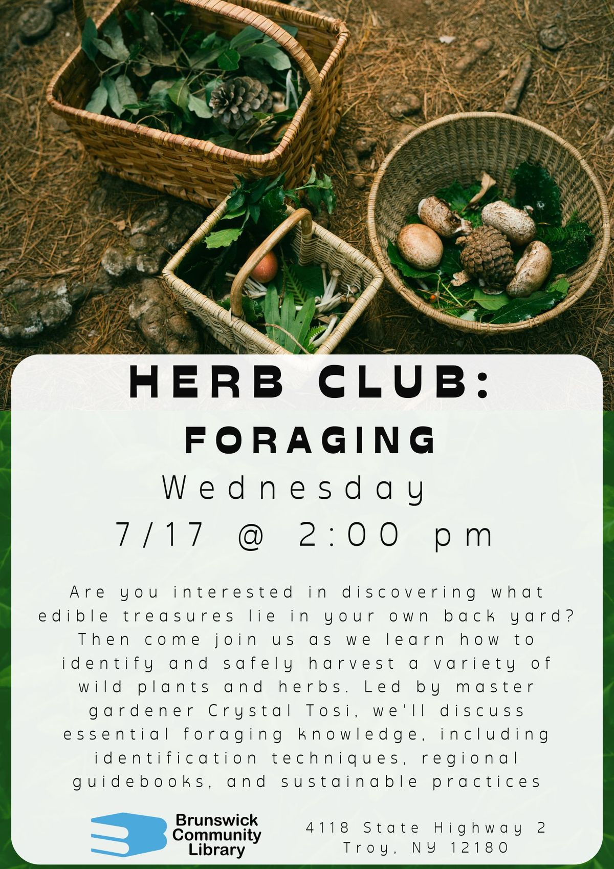 Herb Club: Foraging