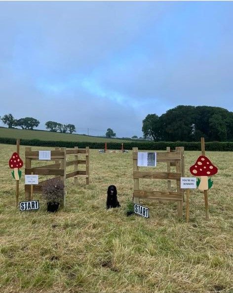 Dartmoor Pony Club Jump Cross