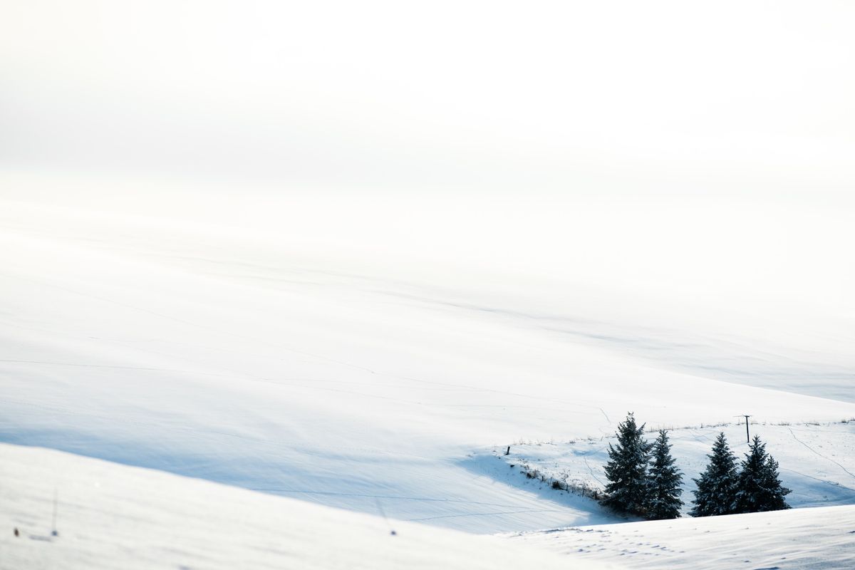 Turning Idaho Trees into Wreaths [REGISTRATION CLOSED]