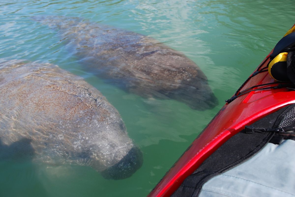 Complimentary Kayaking Day at Emerson Point Preserve