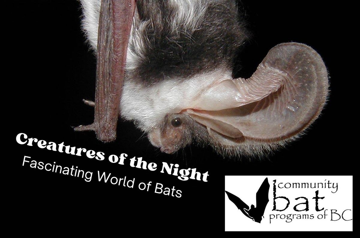 Creatures of the Night: Fascinating World of Bats