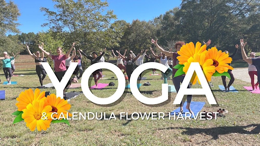 Yoga  & Calendula Flower Harvest