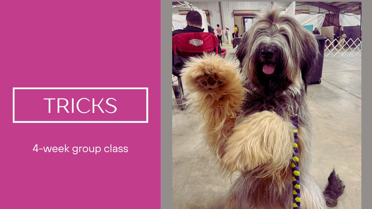 Tricks class (4-weeks)