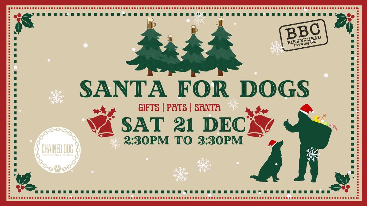 \ud83c\udf85\ud83c\udffc SANTA FOR DOGS! \ud83d\udc3e