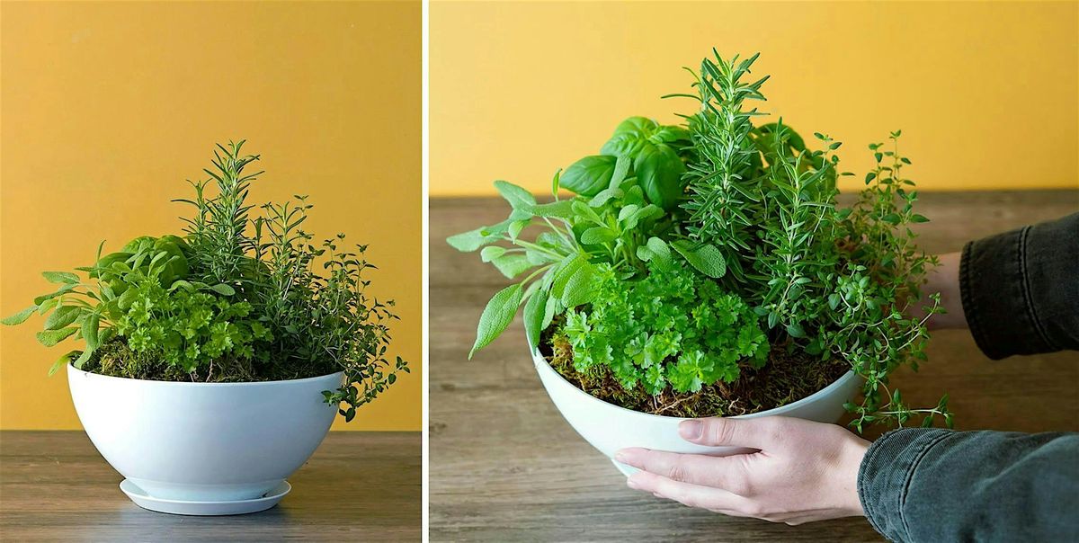 Make-n-Take: Herb Garden Centerpiece at Mahoney's Winchester