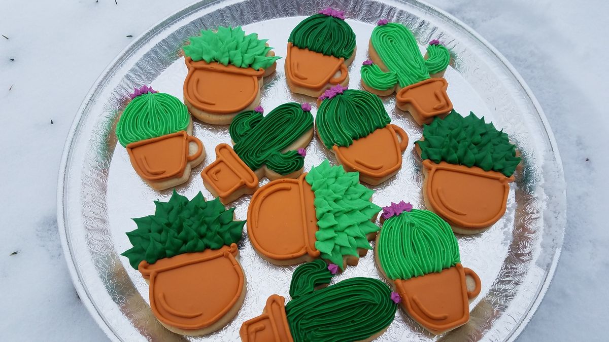 Cookie Decorating: Succulents