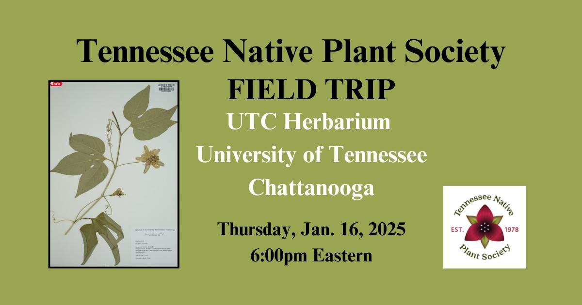 TNPS Field Trip: UTC Herbarium at UT Chattanooga