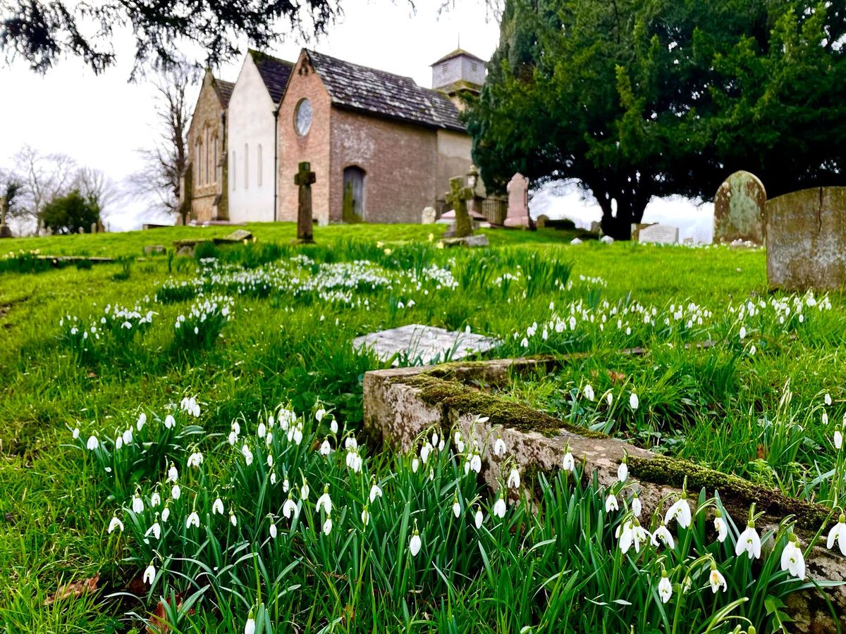 Just Hike: 15km Snowdrops trail Abinger & Wotton Circular