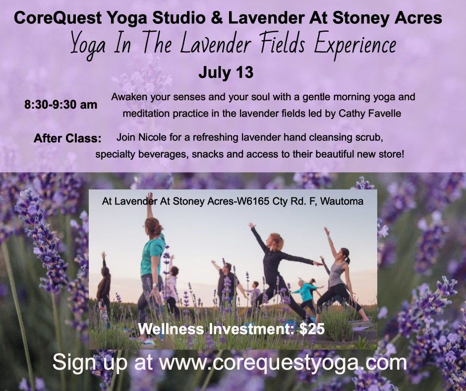 Yoga In The Lavender Fields Experience 