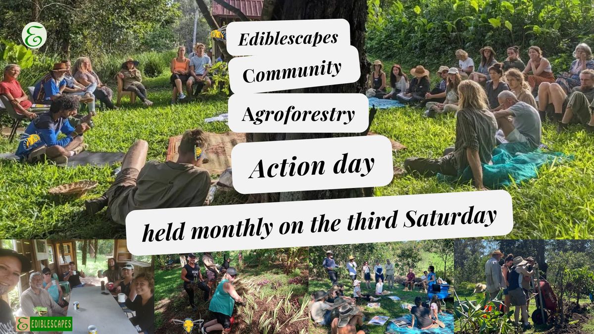 Community Agroforestry Action Days Cycle