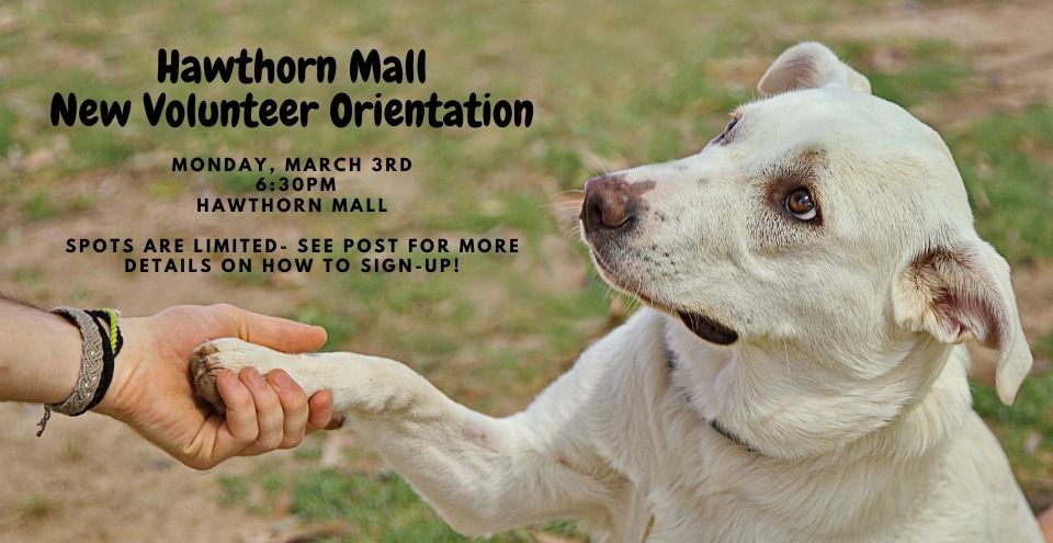 Hawthorn Mall New Volunteer Orientation