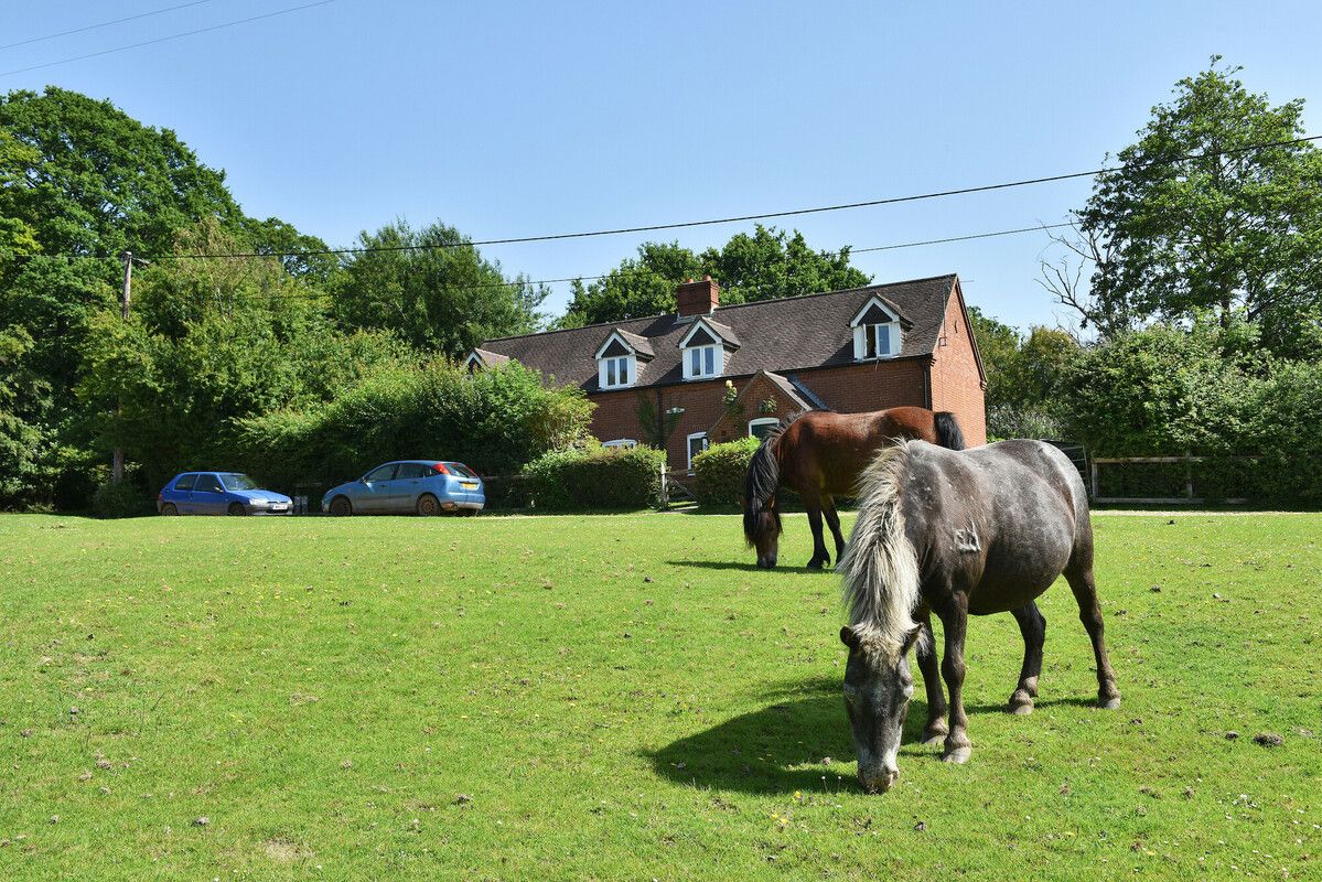 New Forest CDA mid-term meeting