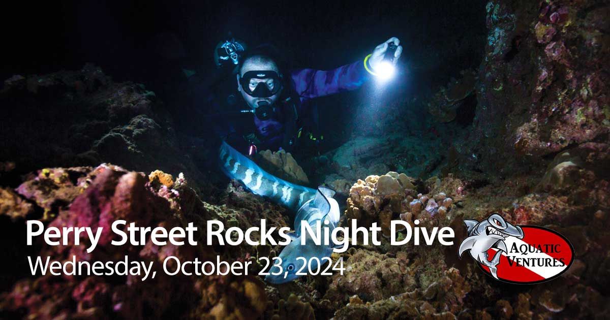 Perry Street Night Shore Dive