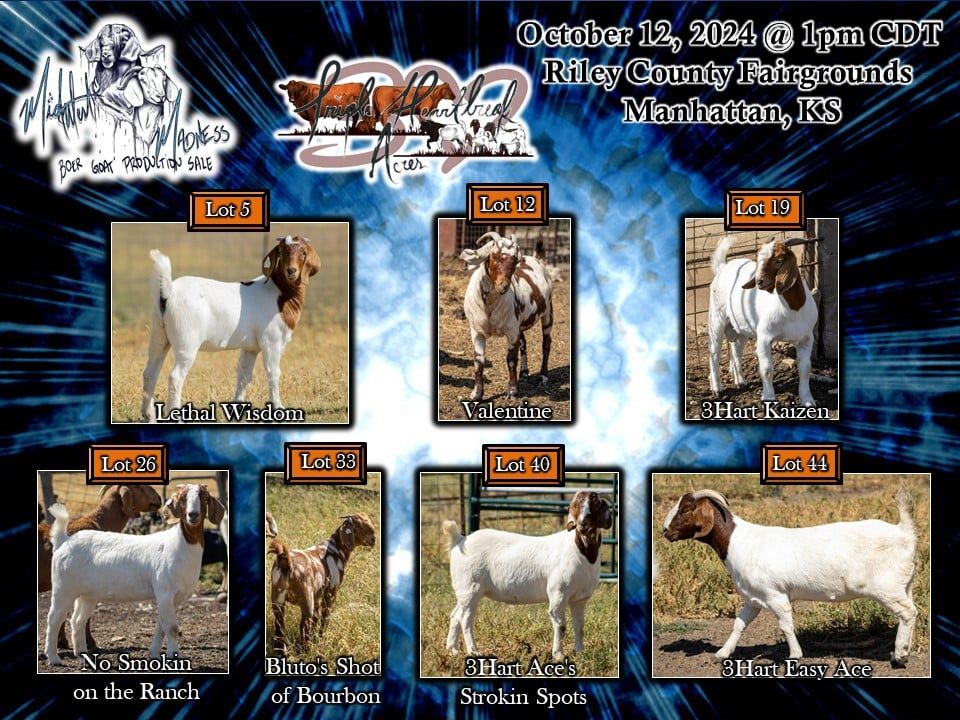 Midwest Madness Boer Goat Production Sale