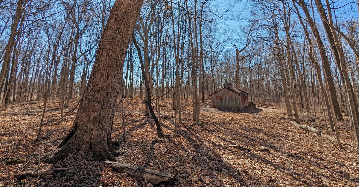 Birding the Farm Walk (Everyone Welcome)