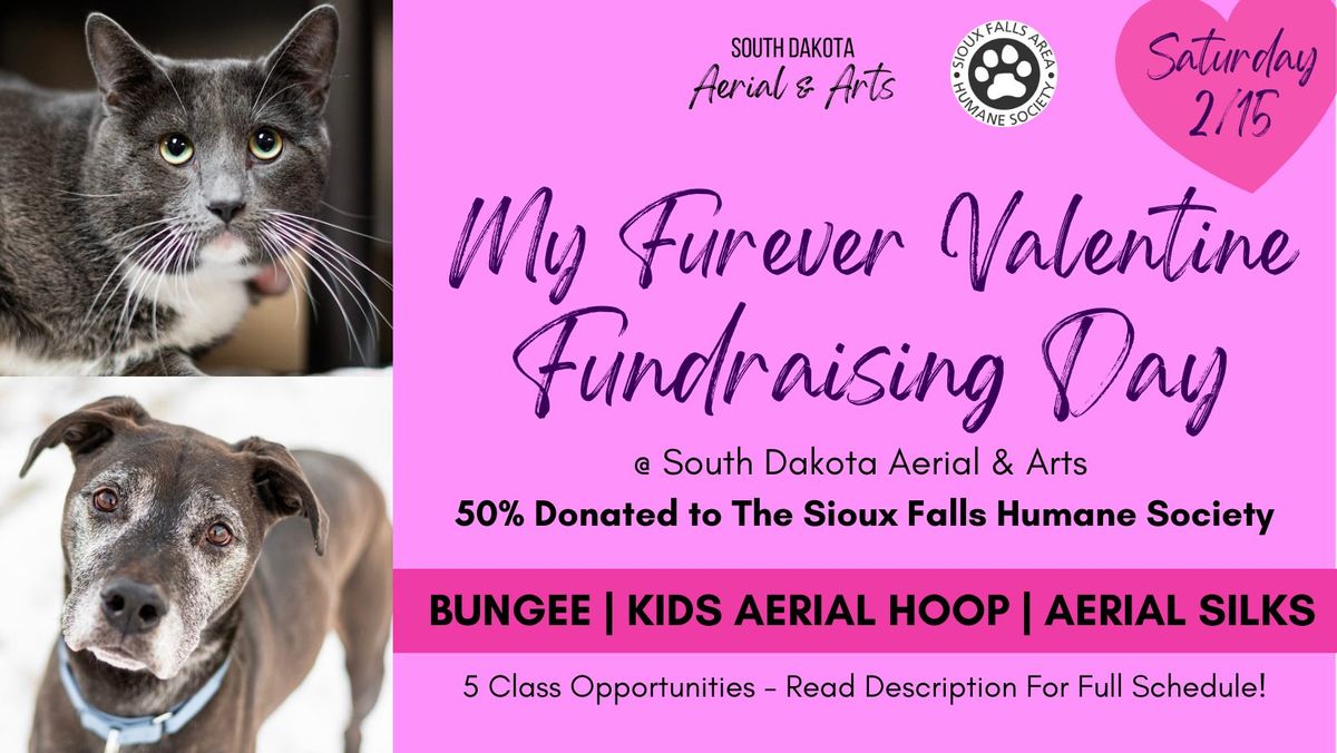 My Furever Valentine Fundraising Day - Supporting the Humane Society