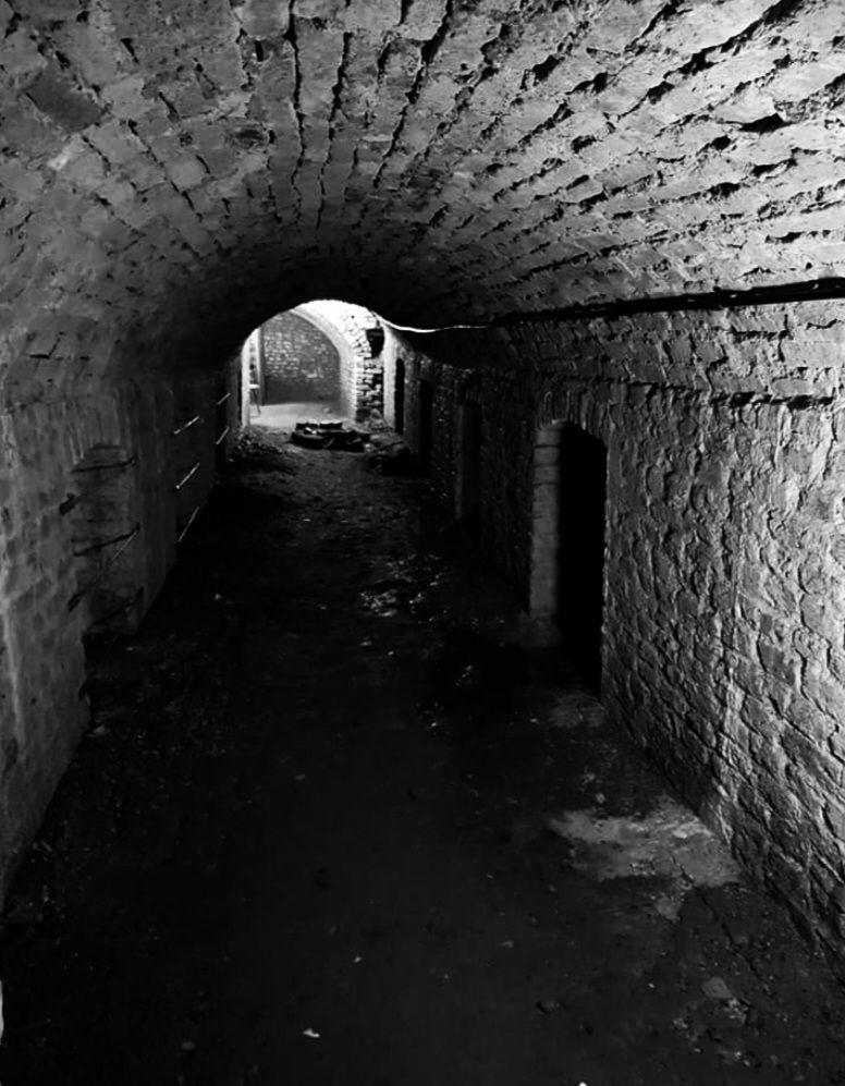 Wisbech Castle and Vaults Ghost Hunt Wisbech with Haunting Nights