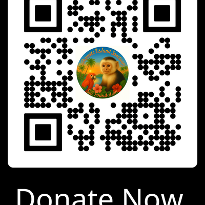 SiS Foundation Inc