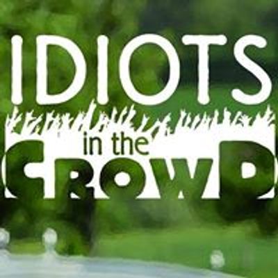 Idiots in the Crowd