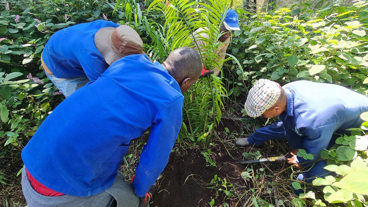 Practical Gardener Training in KZN