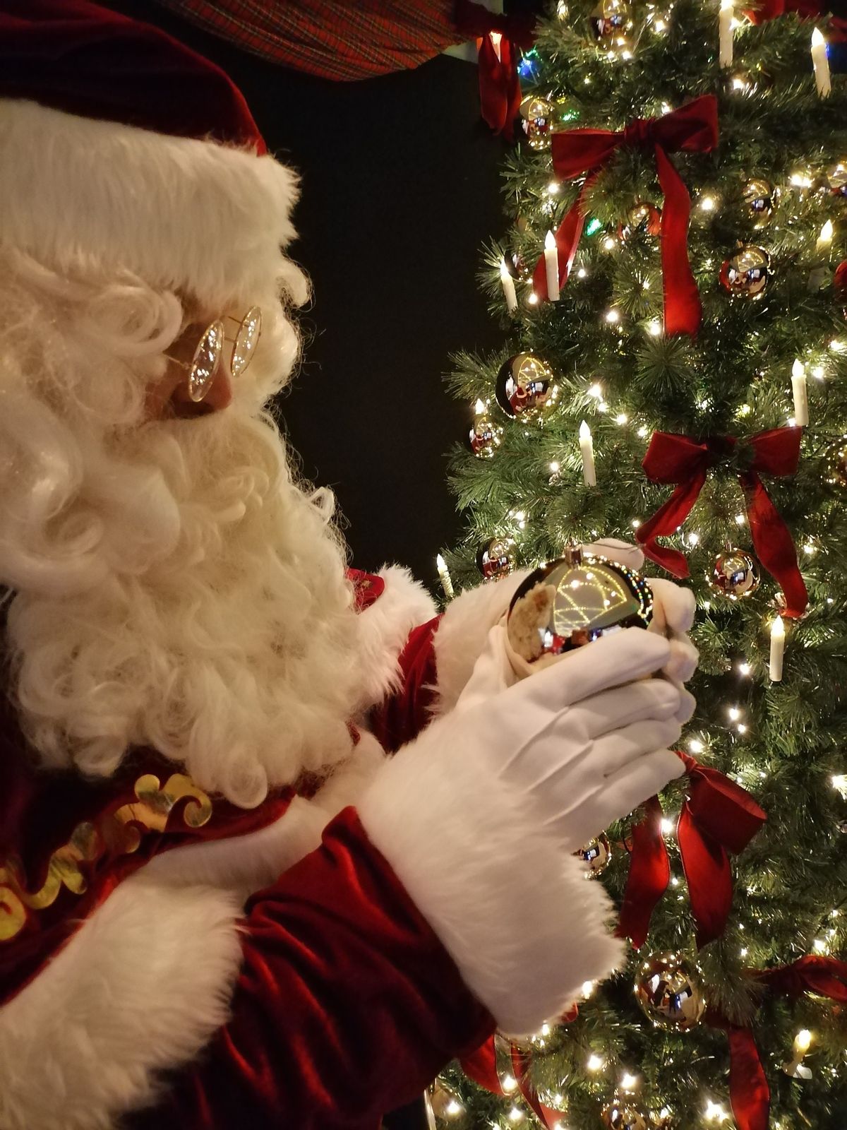 Meet Santa at Portsmouth Museum and Art Gallery