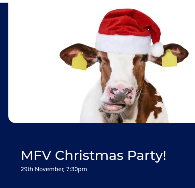 MFV Christmas Party