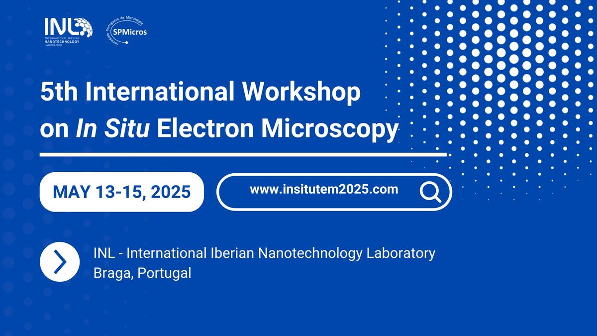 5th International Workshop of In situ Electron Microscopy