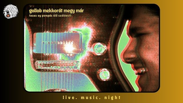 Gollob Marci nagyot megy - solo. music. night.