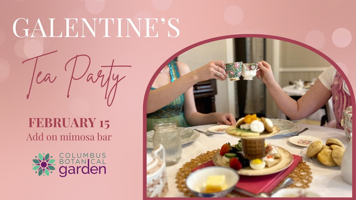 Galentines Tea Party