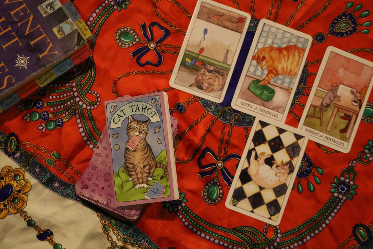 Tarot Reading Night with Cats