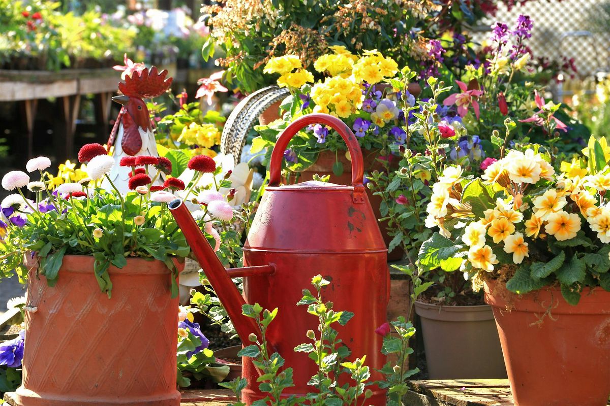 Spring Launch, come and see our new ranges for the Spring Season