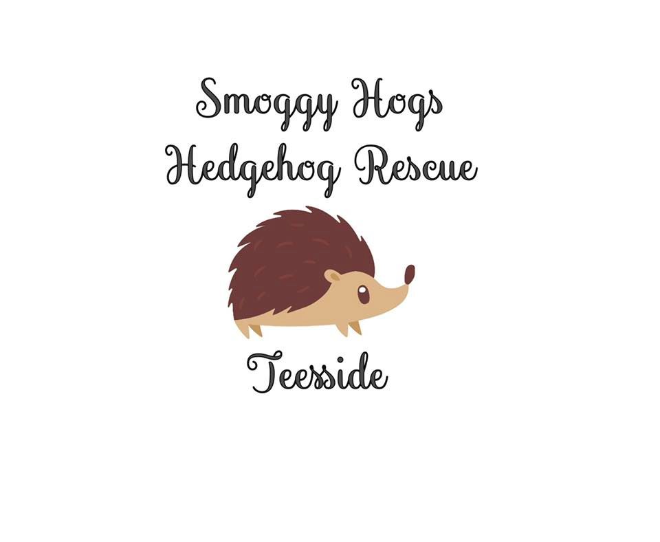 Let\u2019s talk hedgehogs.