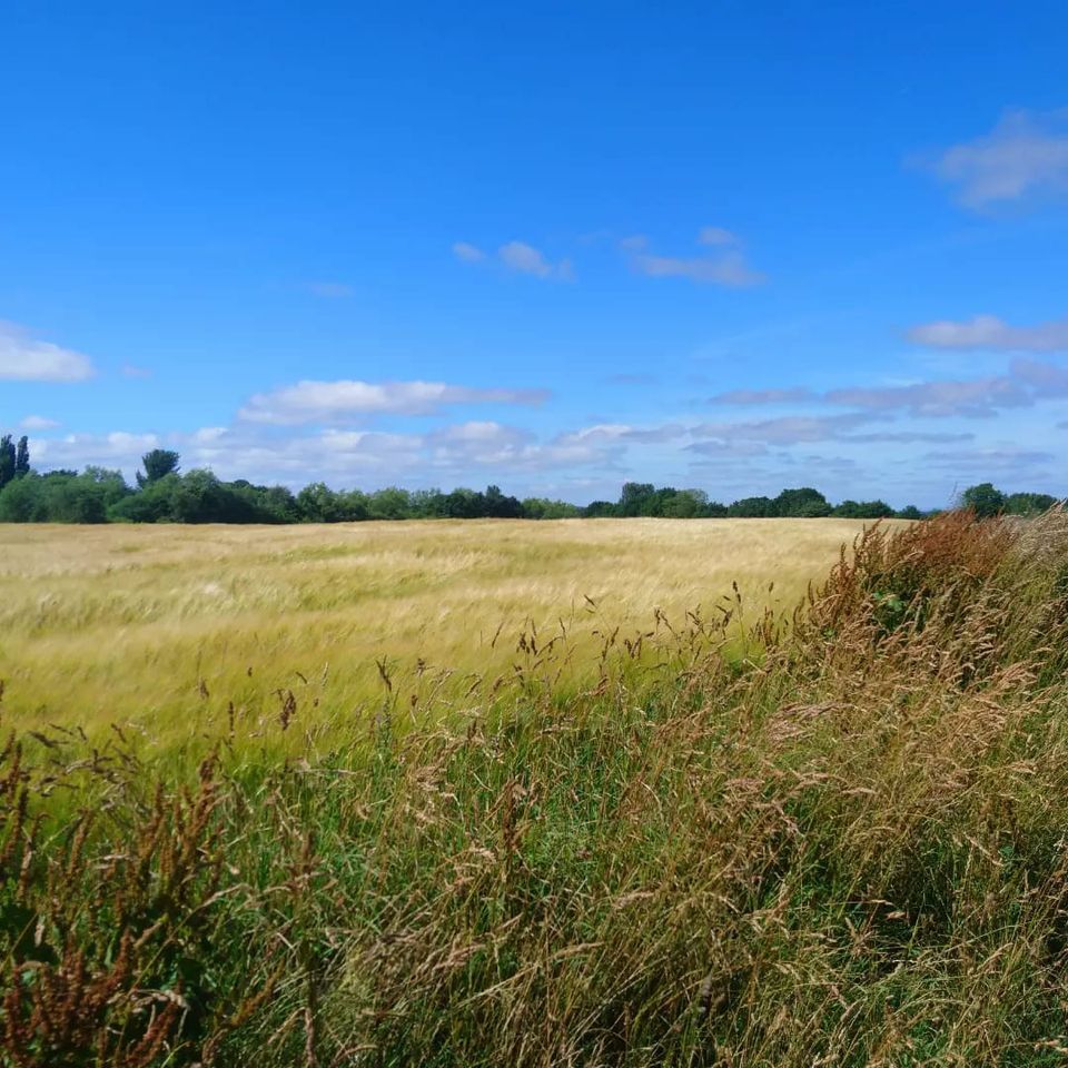 nordic-walking-introduction-the-lean-kitchen-wigan-29-september-2022