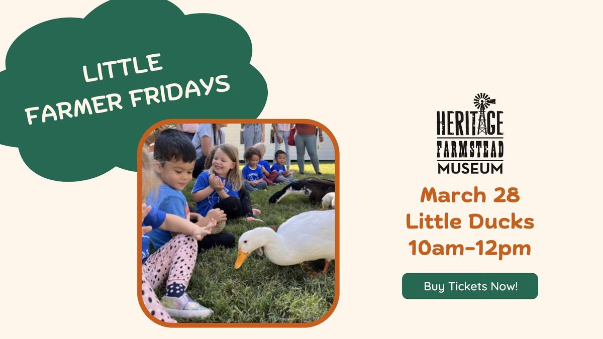 Little Farmer Friday - Little Ducks