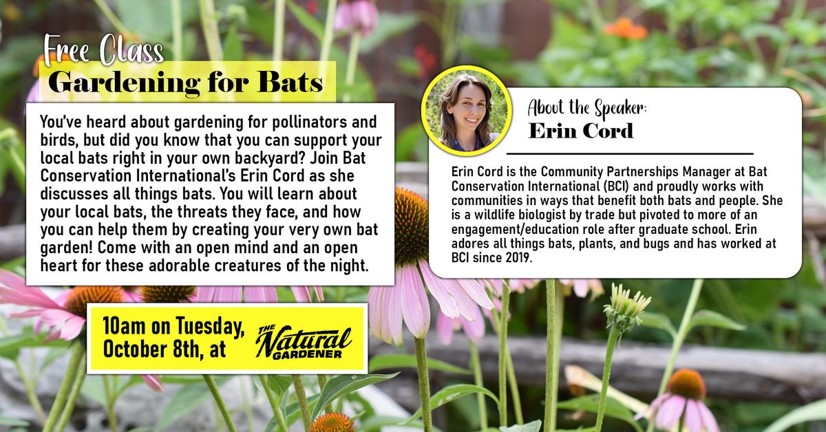 Free Class: Gardening for Bats! - Presented by Erin Cord 