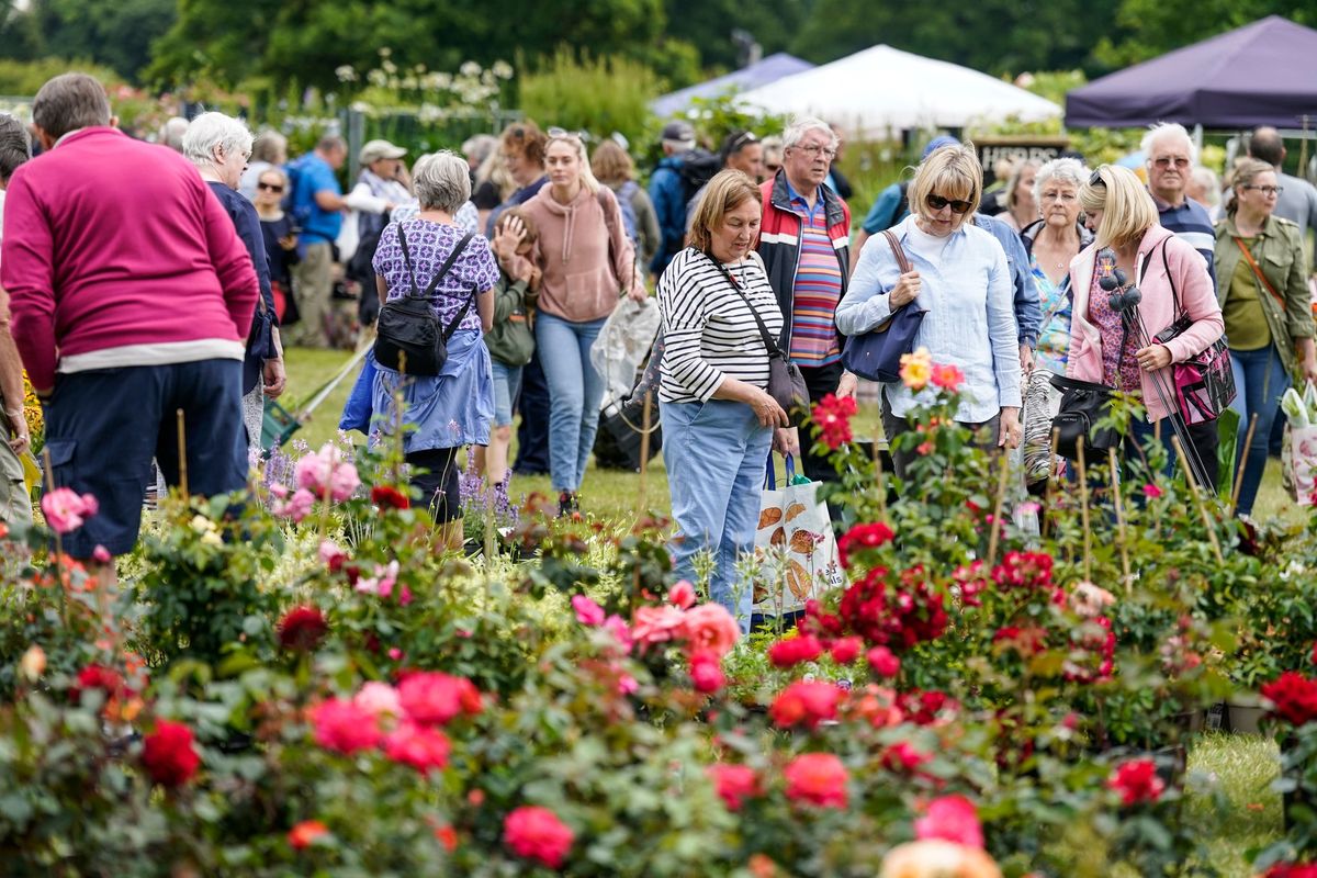 Blenheim Palace Flower Show