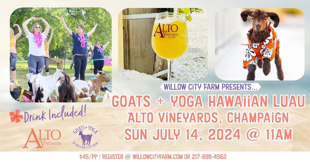 Goats + Yoga LUAU Party! @ Alto Vineyards, Champaign IL